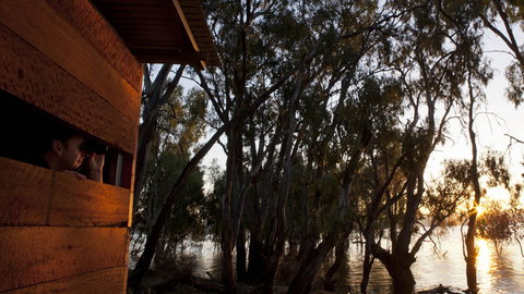 Murray Valley National Park - Australia Accommodation 1