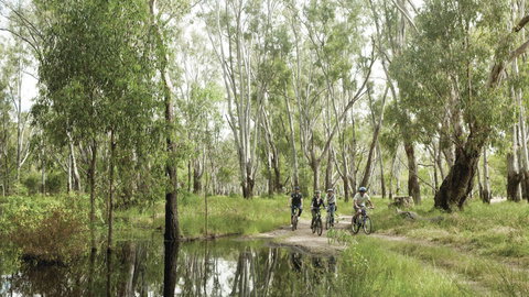 Murray Valley National Park - Australia Accommodation 3