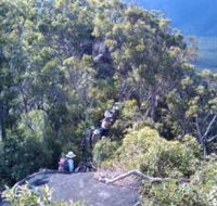 Mia Mia State Forest - Australia Accommodation