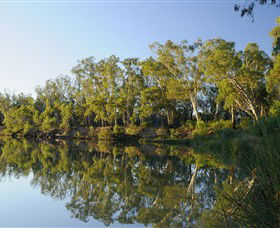IWaterSki - Australia Accommodation 0