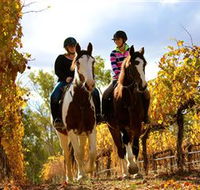 Billabong Ranch - Australia Accommodation