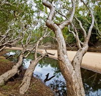 Oyala Thumotang National Park CYPAL - Australia Accommodation
