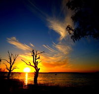 Lake Cowal - Australia Accommodation