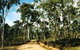 Paddys Ranges State Park - thumb 0