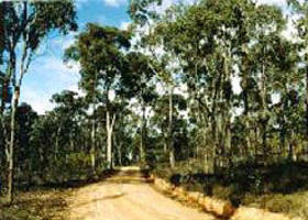 Paddys Ranges State Park - Australia Accommodation 0