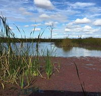 Gwydir Wetlands - Australia Accommodation