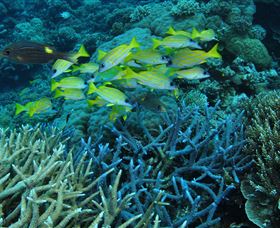 Port Douglas QLD Australia Accommodation