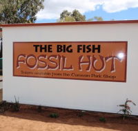 Big Fish Fossil Hut at Peak Hill - Australia Accommodation