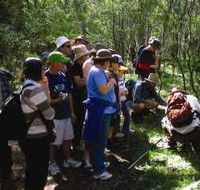 Warrumbungle National Park Discovery Program - Australia Accommodation