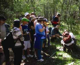 Warrumbungle National Park Discovery Program - Australia Accommodation 0