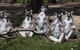 Savannah Visitor Plaza, Taronga Western Plains Zoo Dubbo - thumb 0