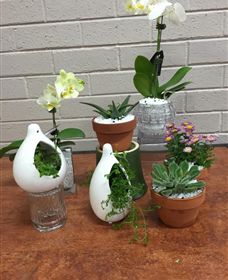 Cobram Florist - Australia Accommodation 0