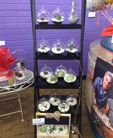 Cobram Florist - Australia Accommodation 3