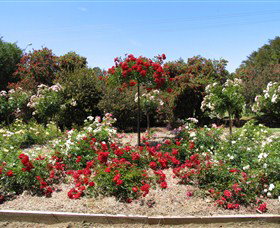 Barooga Botanical Gardens - Australia Accommodation 2
