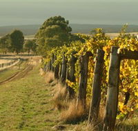 Captains Creek Organic Wines - Australia Accommodation