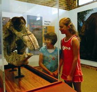 Australian Museum Diprotodon Exhibition - Australia Accommodation