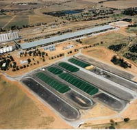 Co-operative Bulk Handling CBH Wheat Storage and Transfer Depot - Australia Accommodation