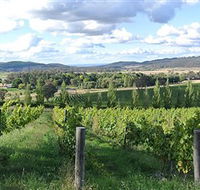 Sassy Wines - Australia Accommodation
