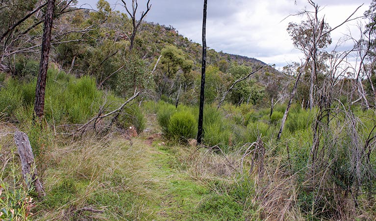 Piney Range NSW Australia Accommodation