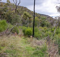 Lynchs loop trail - Australia Accommodation