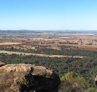 Basin Gully to Eualdrie lookout track - Australia Accommodation