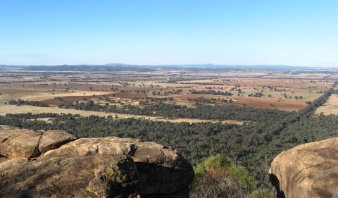 Basin Gully To Eualdrie Lookout Track - Australia Accommodation 0