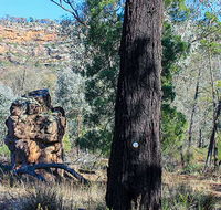Eualdrie walking track - Australia Accommodation