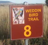 Weddin Bird Trails - Australia Accommodation