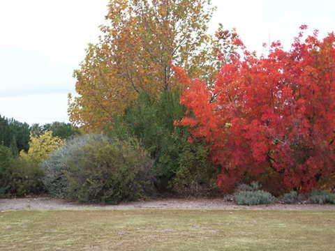 Australian Inland Botanic Gardens - Australia Accommodation 2