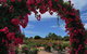 Australian Inland Botanic Gardens - thumb 3