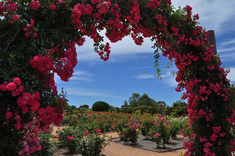 Australian Inland Botanic Gardens - Australia Accommodation 3