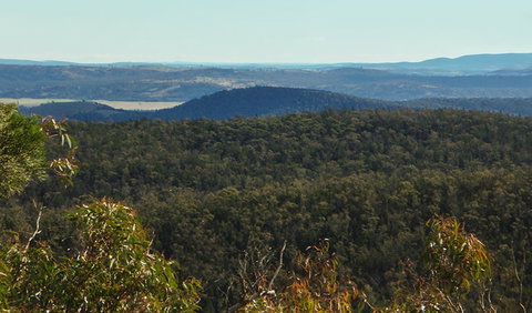 Conimbla National Park - Australia Accommodation 1