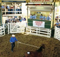 Gracemere Exhibition Complex - Australia Accommodation
