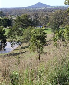 Mt Piper Nature Conservation Reserve - Australia Accommodation 1