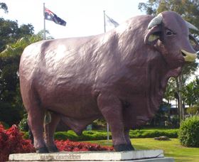 Rockhampton Bull Statues - Australia Accommodation 0