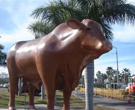 Rockhampton Bull Statues - Australia Accommodation 3
