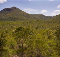 Kutini-Payamu Iron Range National Park CYPAL - Australia Accommodation