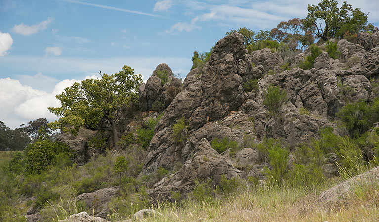 Lidster NSW Australia Accommodation