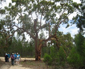 Koorilgur Nature Reserve - Australia Accommodation 0