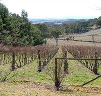 Habitat Vineyard - Australia Accommodation