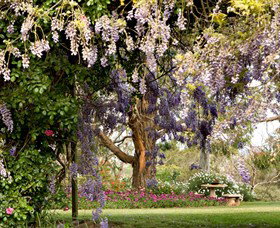 Wombat Heights Orchard And Grog Shed - Australia Accommodation 2