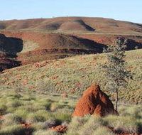 Camel Trail Millstream-Chichester National Park - Australia Accommodation