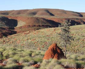 Camel Trail, Millstream-Chichester National Park - Australia Accommodation 0