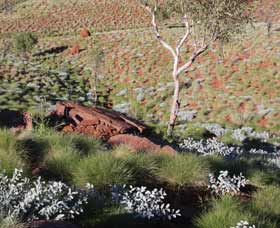 Camel Trail, Millstream-Chichester National Park - Australia Accommodation 2