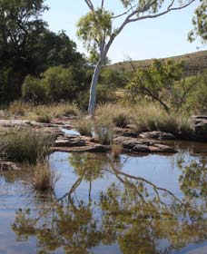 Camel Trail, Millstream-Chichester National Park - Australia Accommodation 3