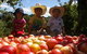 Bonny Glen Fruits - thumb 0