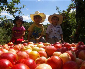 Bonny Glen Fruits - Australia Accommodation 0