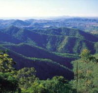 Kroombit Tops National Park - Australia Accommodation