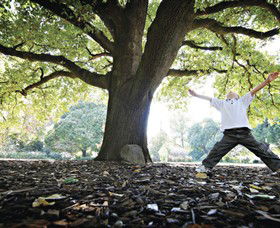 Albury Botanic Gardens - Australia Accommodation 1
