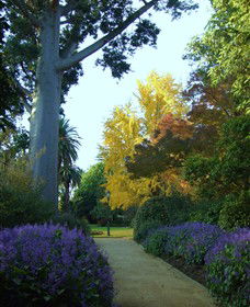Albury Botanic Gardens - Australia Accommodation 4